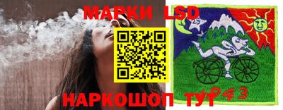 дмт Бийск