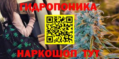 дмт Бийск