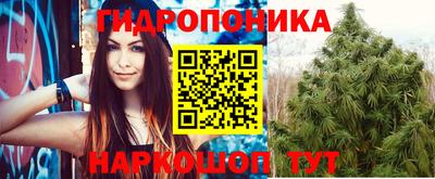 крисы Берёзовский