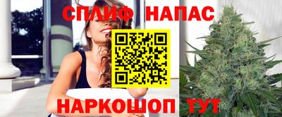 крисы Берёзовский