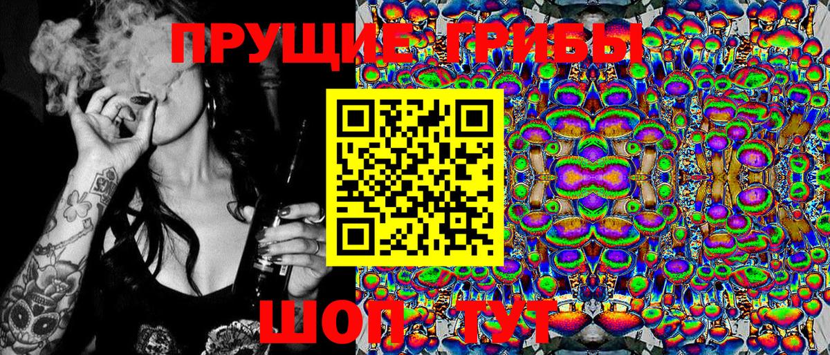 Псилоцибиновые грибы мицелий  Вход с VPN  Йошкар-Ола 